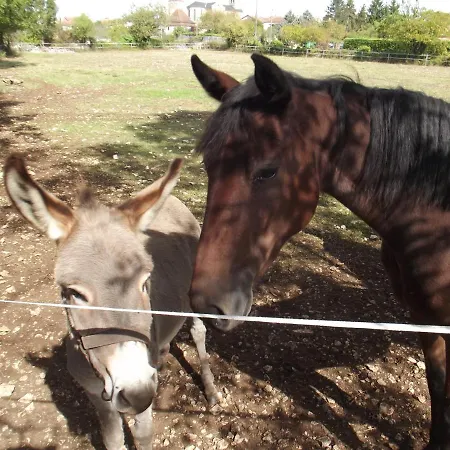 Le Vinagrou 3* Concots